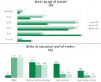 Infographic - Mother's Day  (May 26) Foto